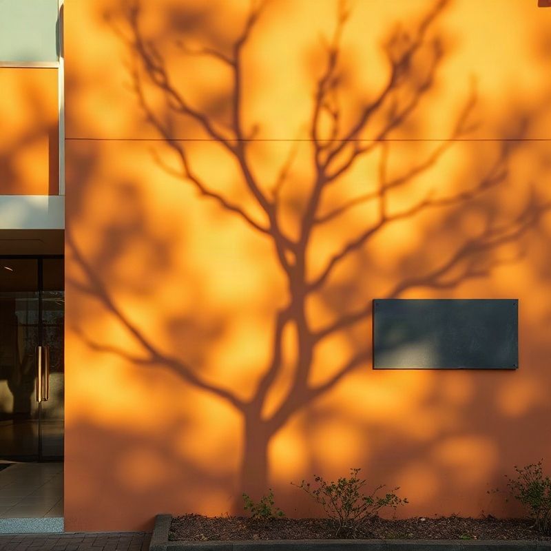 Office entrance on Uganda Road in Eldoret in warm midday light